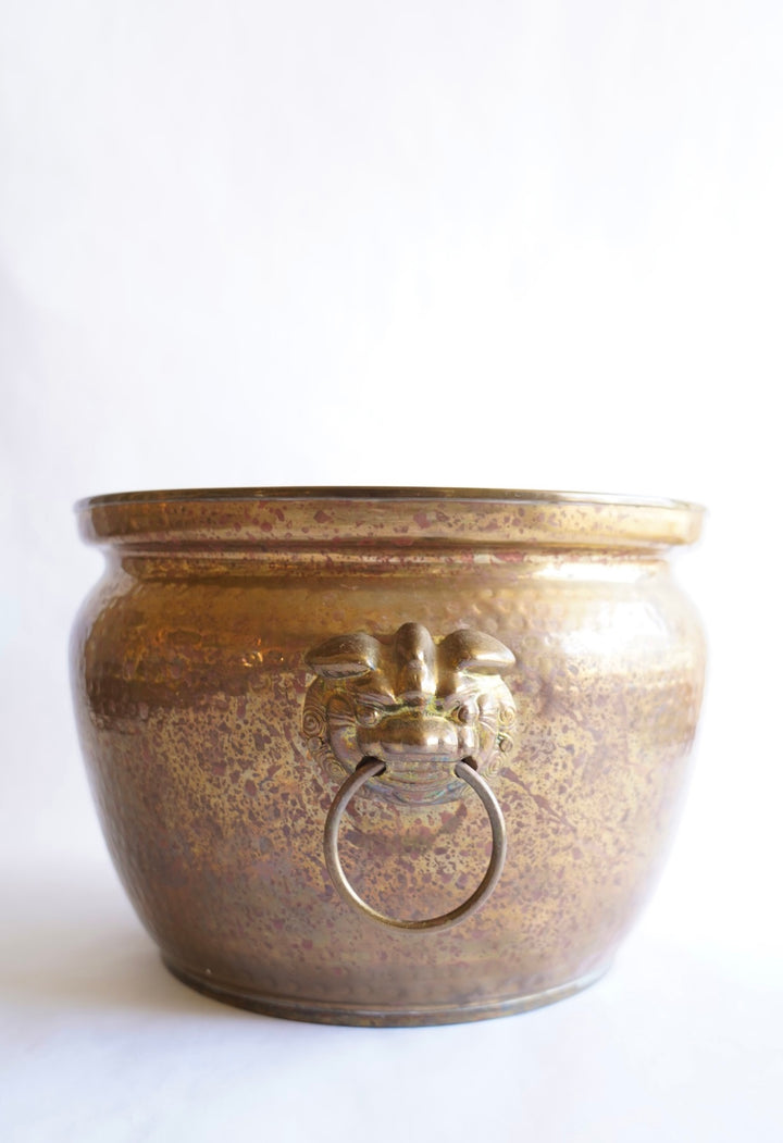 BRASS LION FOO DOG PLANTER
