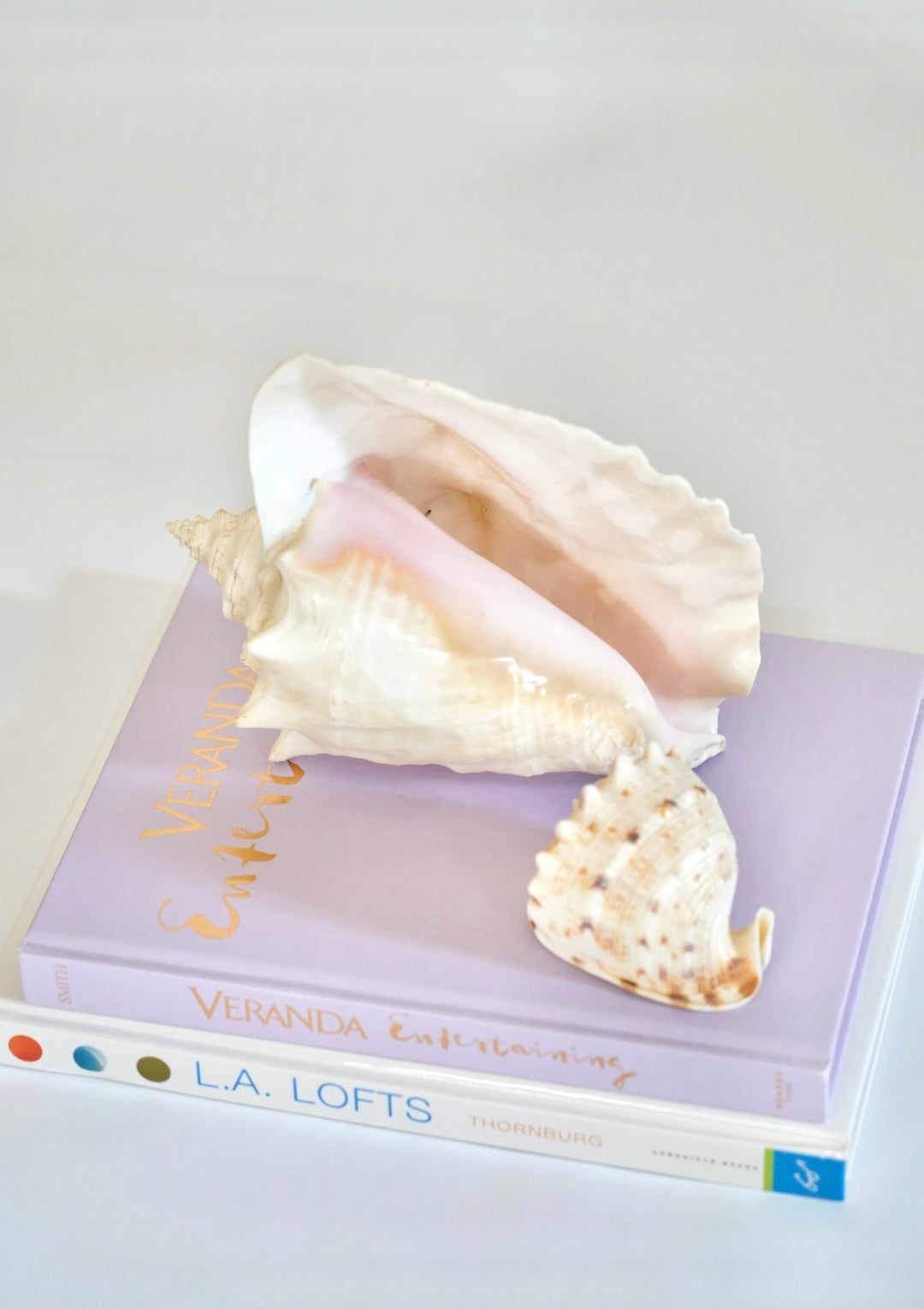 SEASHELL SET