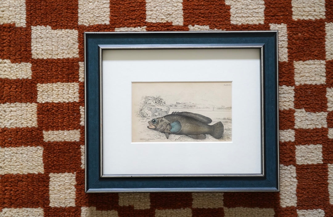 PAIR OF FISH ENGRAVINGS C.1840
