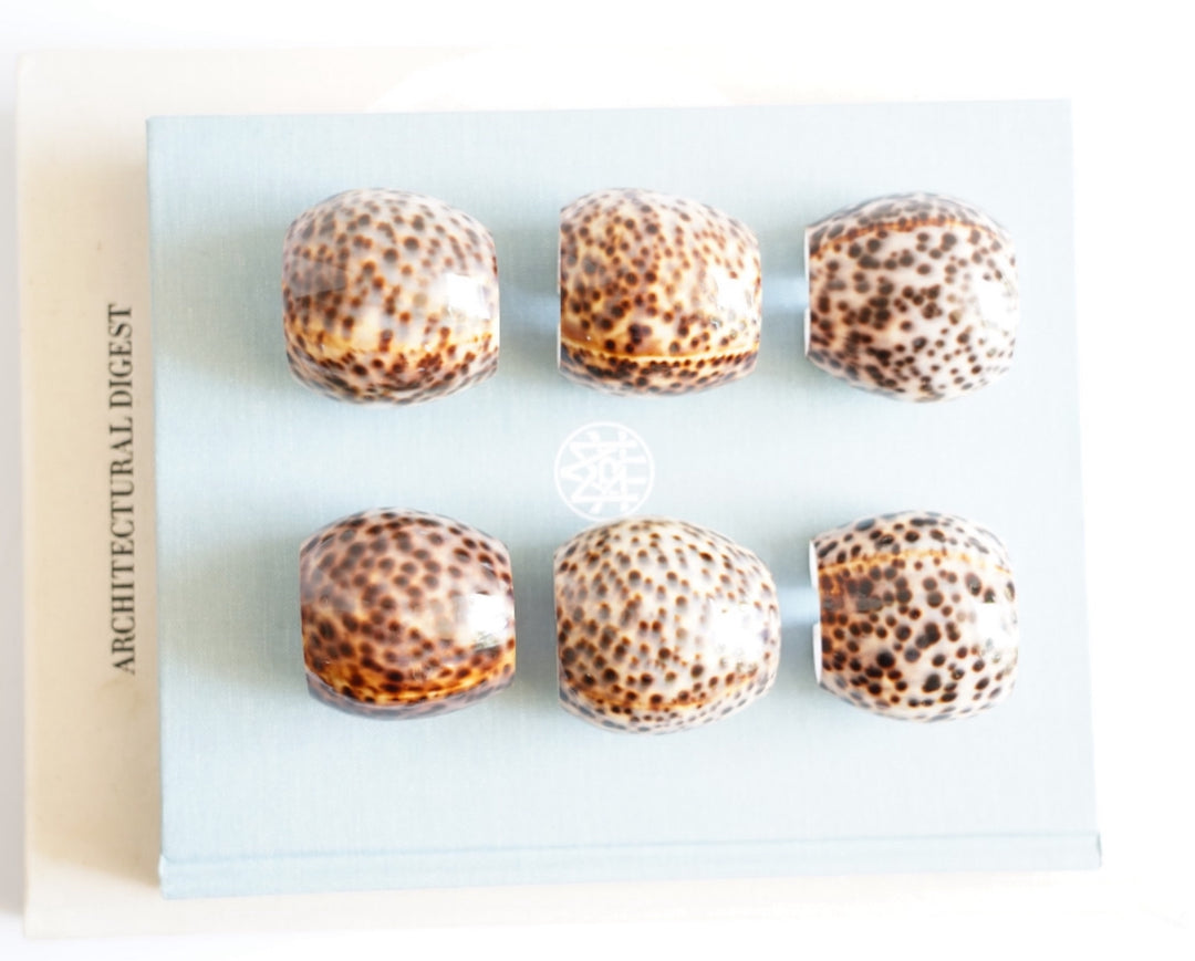Natural Tiger Cowrie Shell Napkin Rings- Set of 6