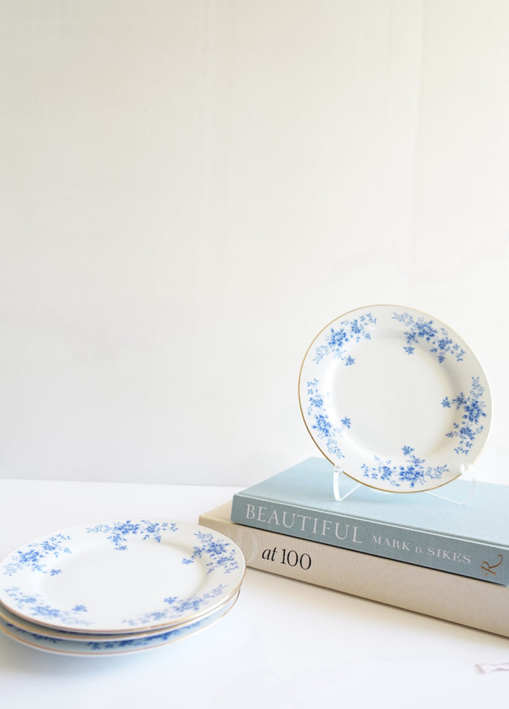 China Garden Prestige Blue Rose
Porcelain Salad Plate Set of 4