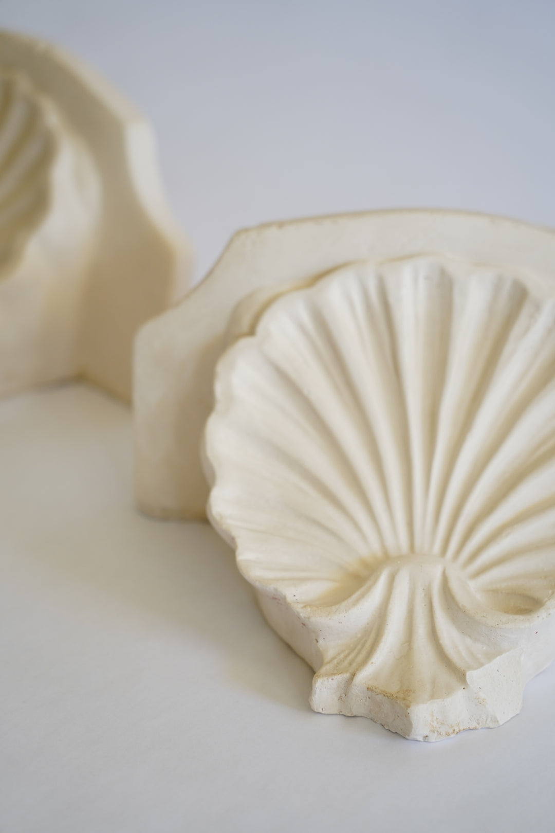 PLASTER SHELL SCONCE SHELVES