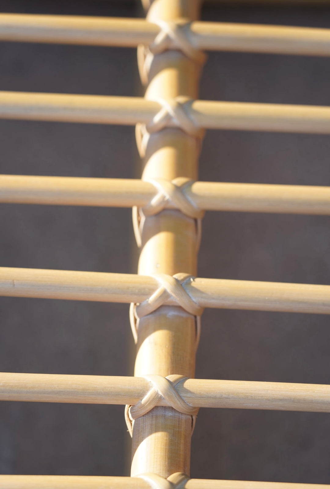 VINTAGE BAMBOO & RATTAN DAYBED CHAISE