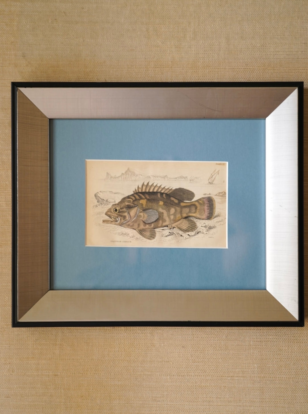 PAIR OF FISH ENGRAVINGS C.1840