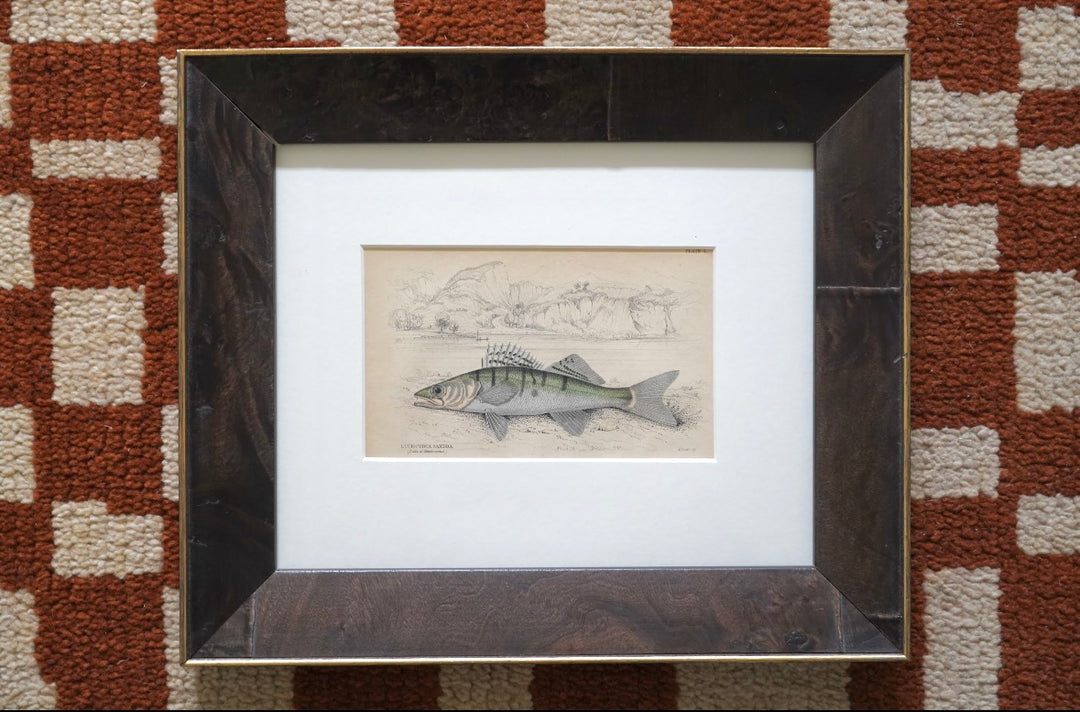 PAIR OF FISH ENGRAVINGS C.1840