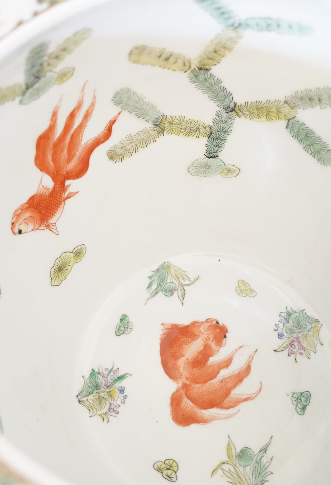 Famille rose planter