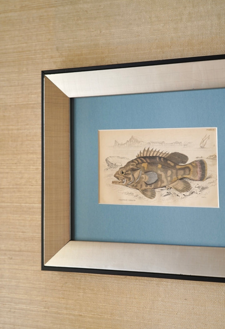 PAIR OF FISH ENGRAVINGS C.1840