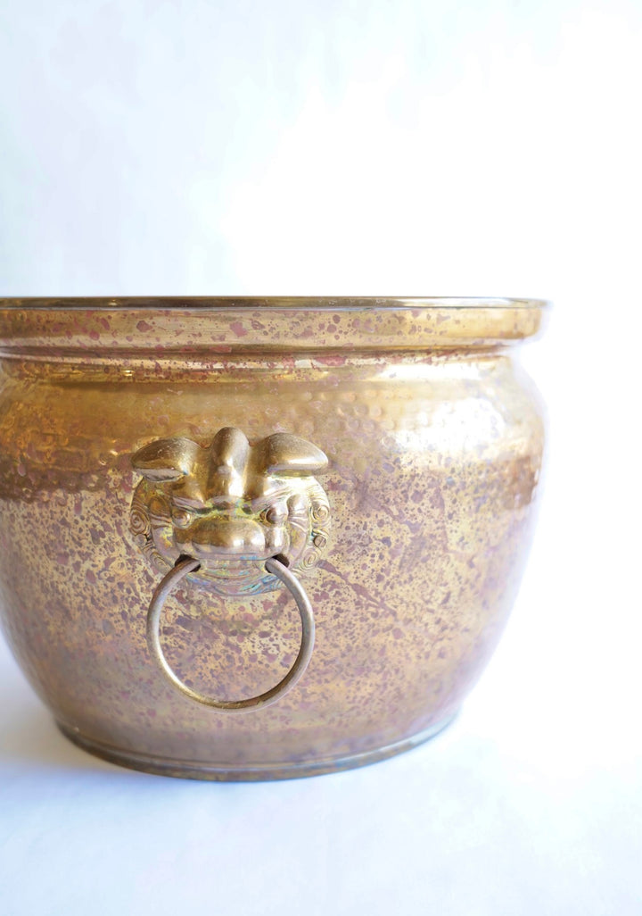 BRASS LION FOO DOG PLANTER