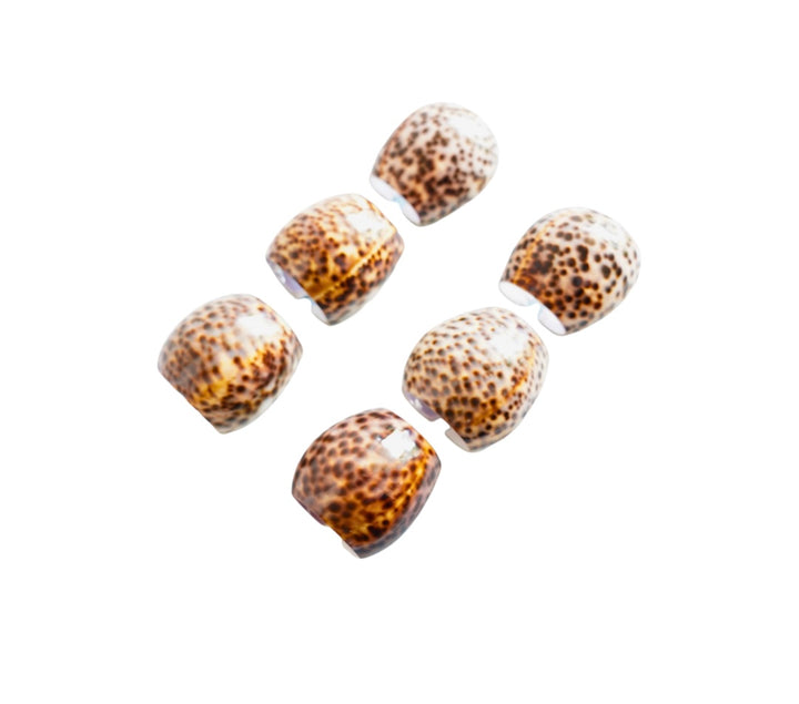 Natural Tiger Cowrie Shell Napkin Rings- Set of 6