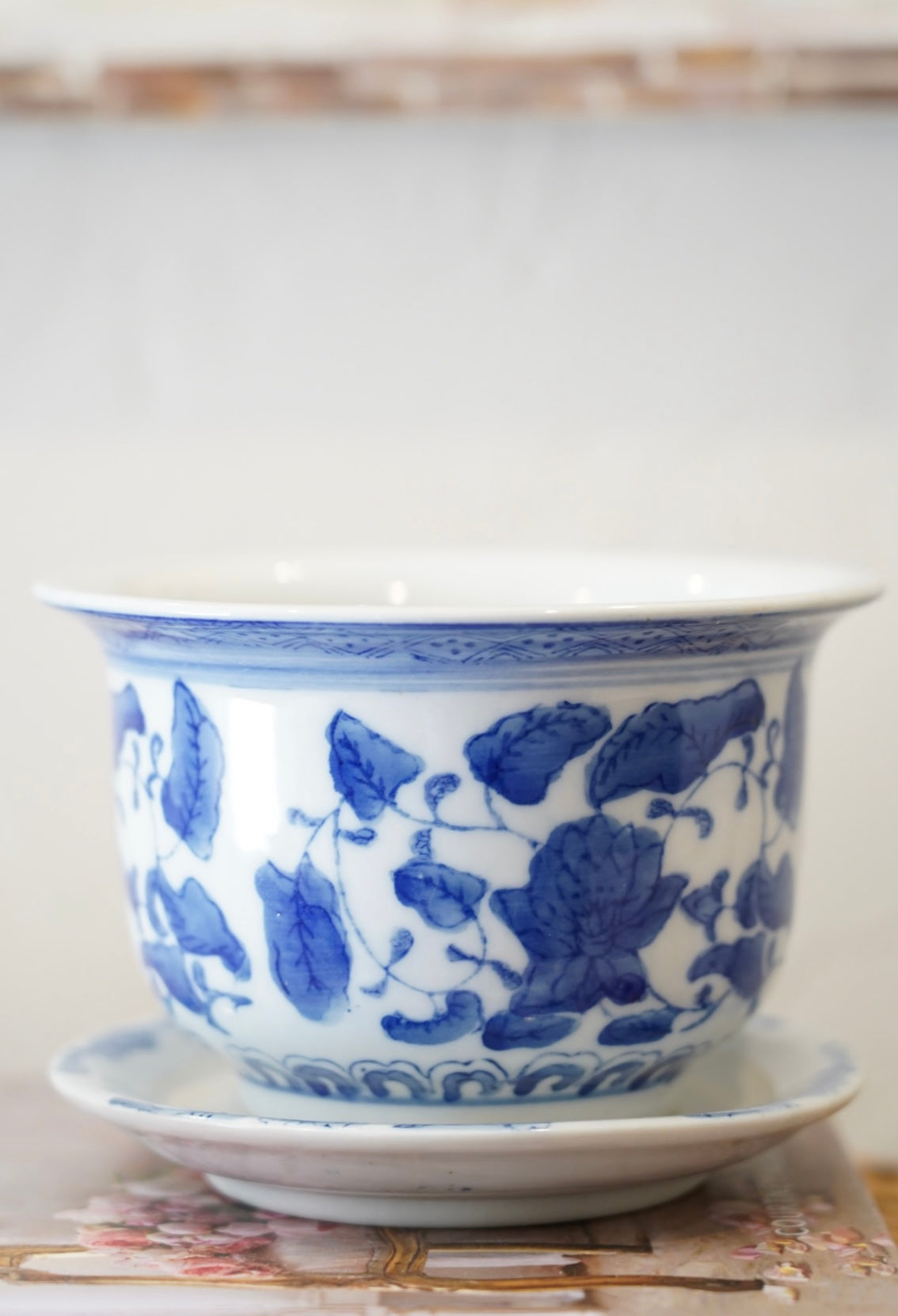 BLUE AND WHITE PLANTER
