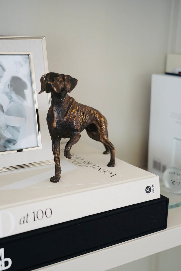 IRON ENGLISH POINTER DOG