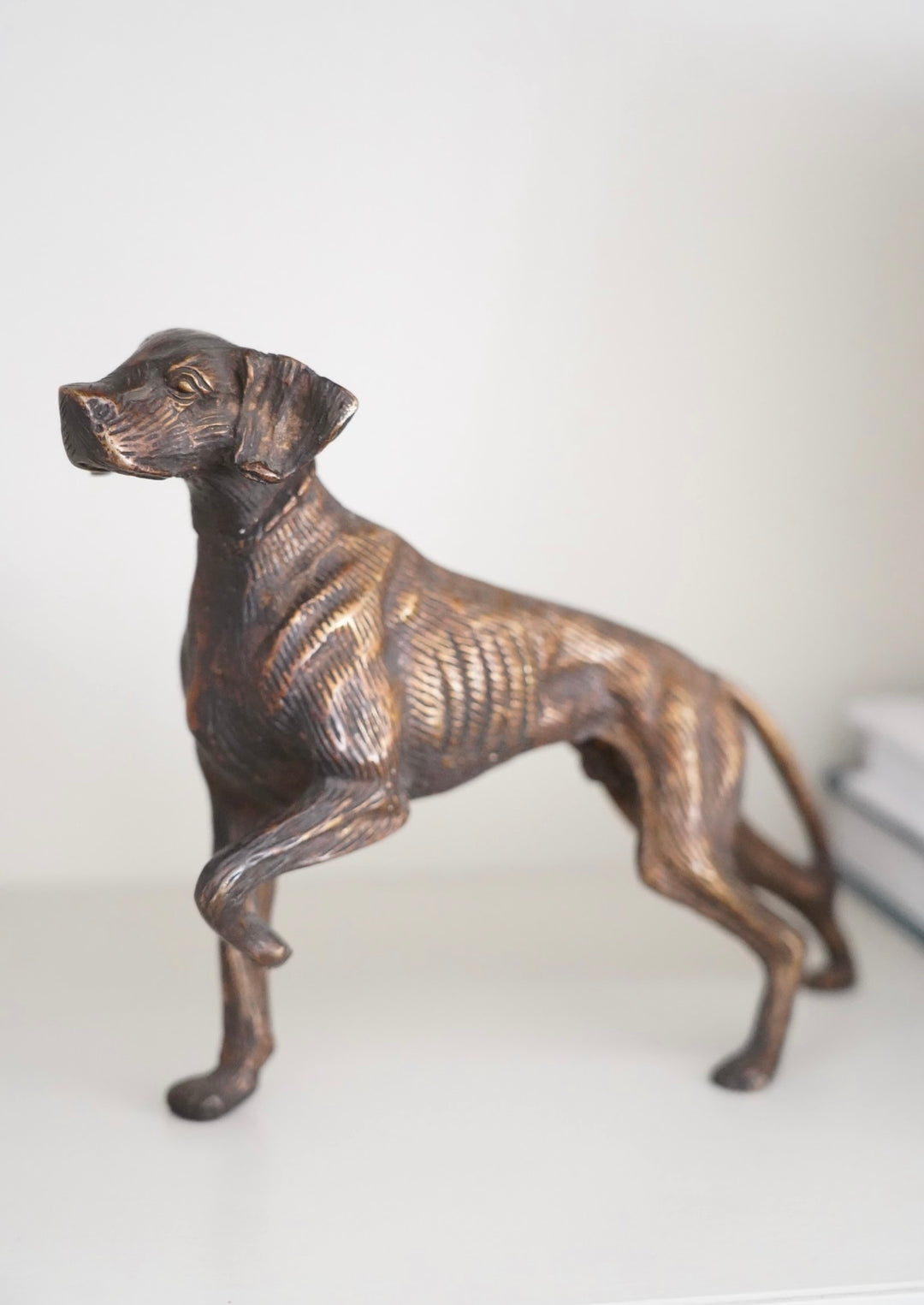 IRON ENGLISH POINTER DOG