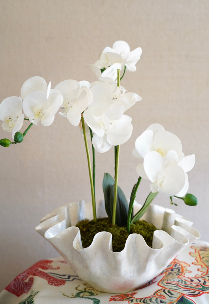 CAPIZ RUFFLE ORCHID ARRANGEMENT