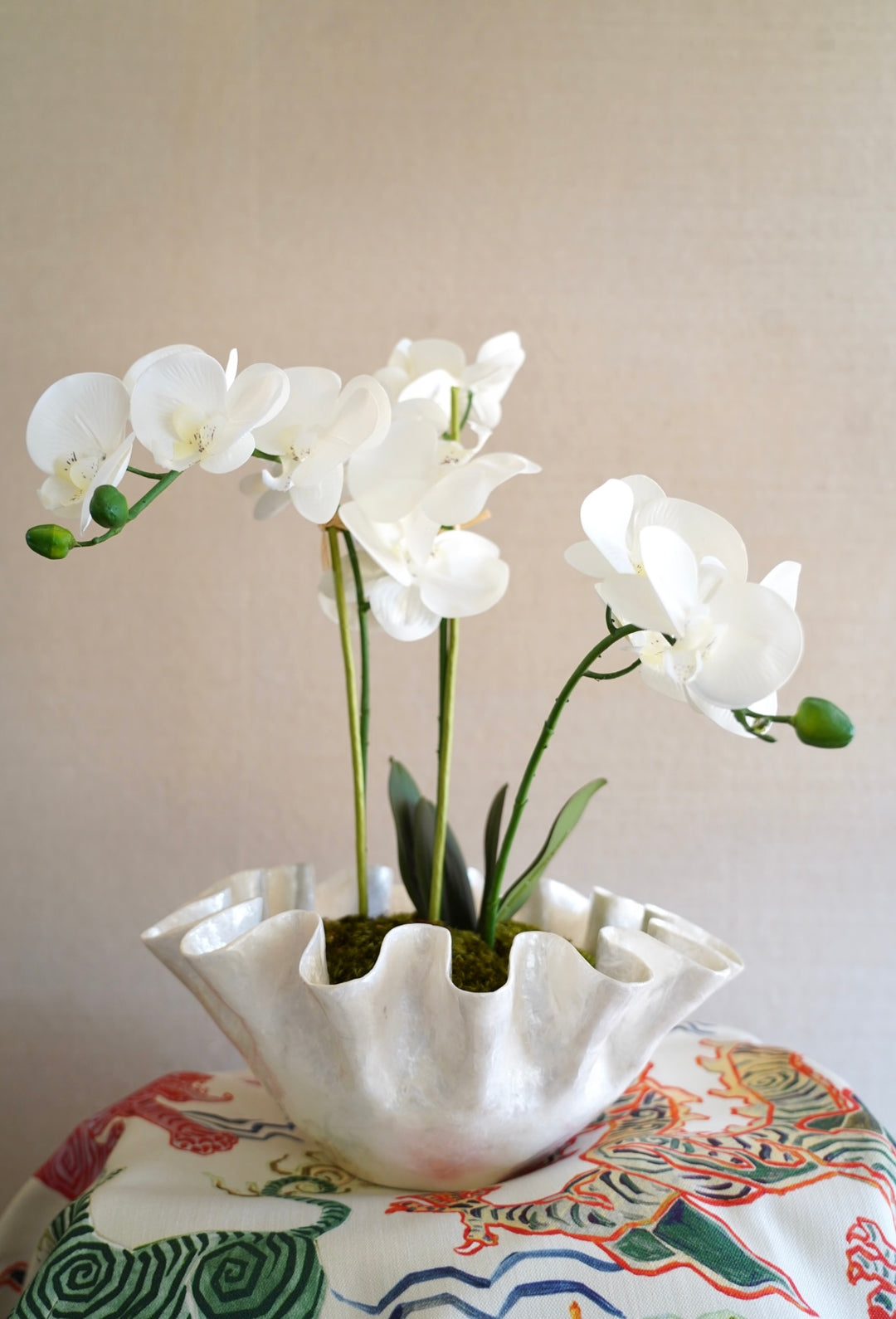 CAPIZ RUFFLE ORCHID ARRANGEMENT