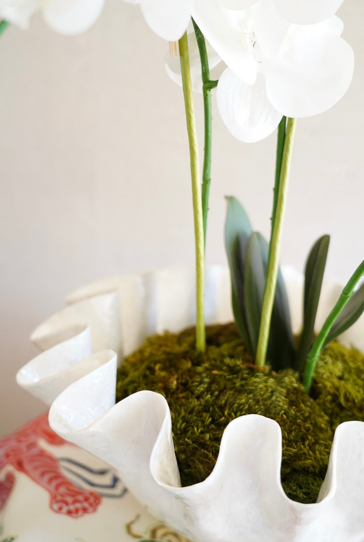 CAPIZ RUFFLE ORCHID ARRANGEMENT