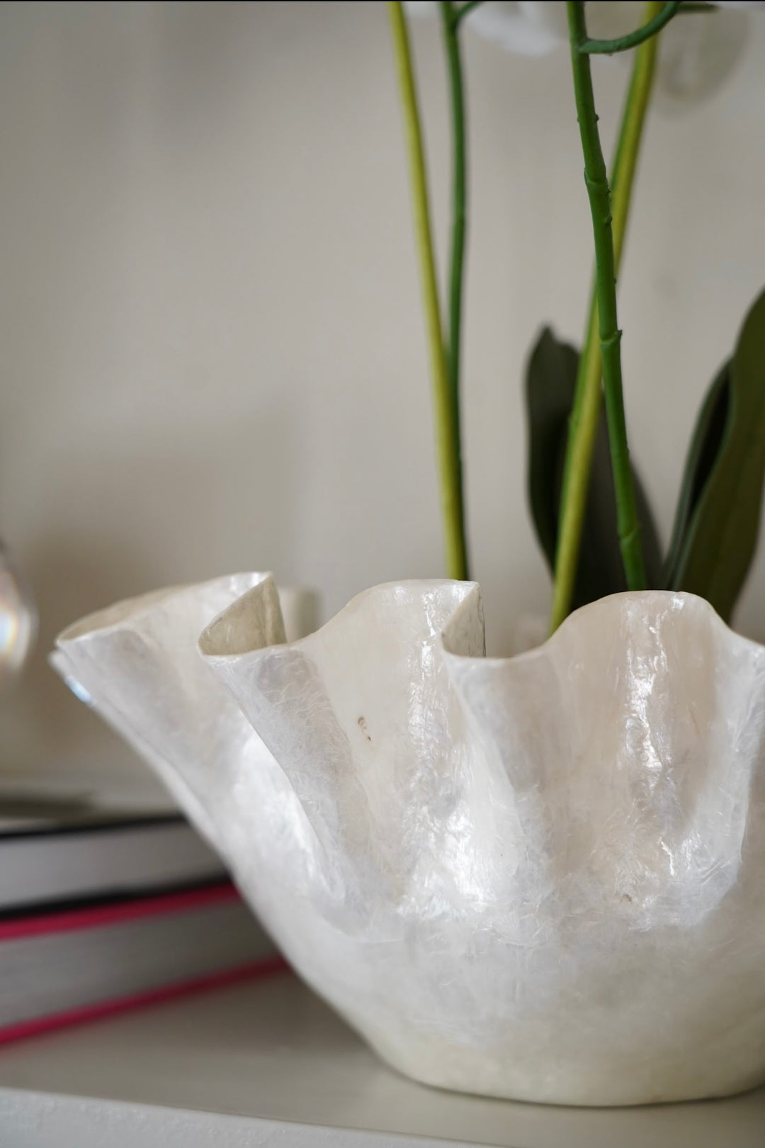 CAPIZ RUFFLE ORCHID ARRANGEMENT