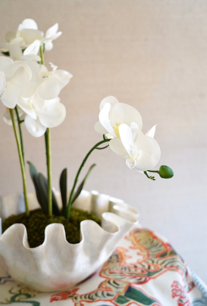 CAPIZ RUFFLE ORCHID ARRANGEMENT