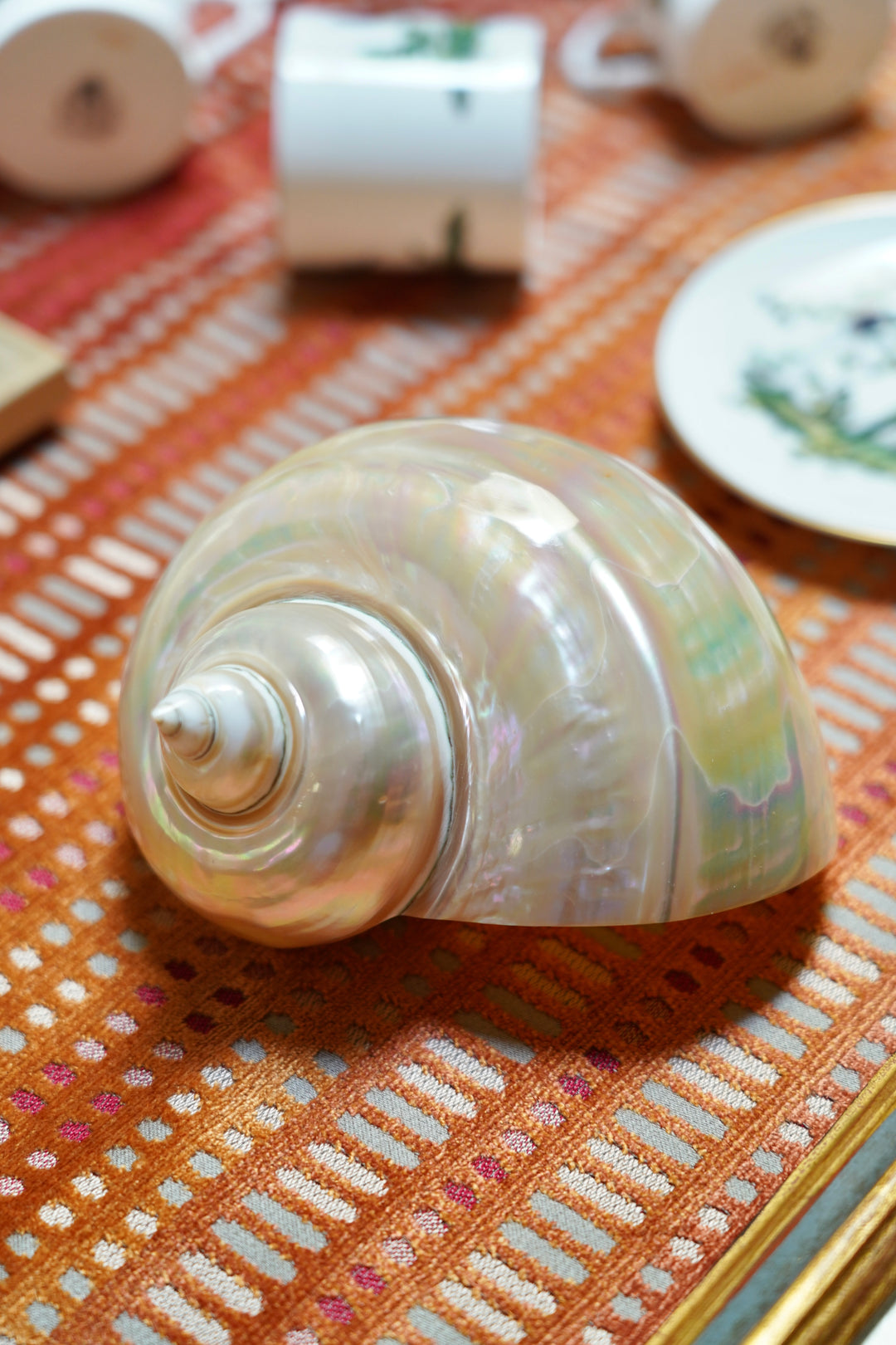 PEARLESCENT SHELL