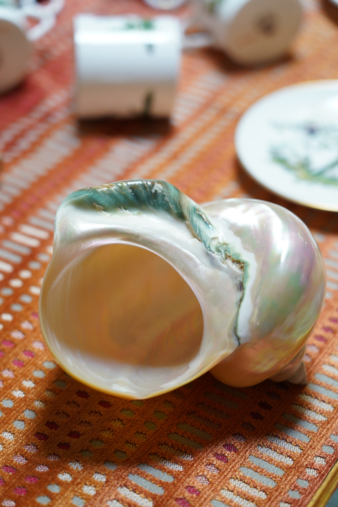 PEARLESCENT SHELL