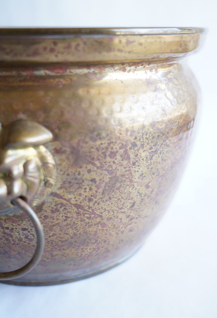 BRASS LION FOO DOG PLANTER