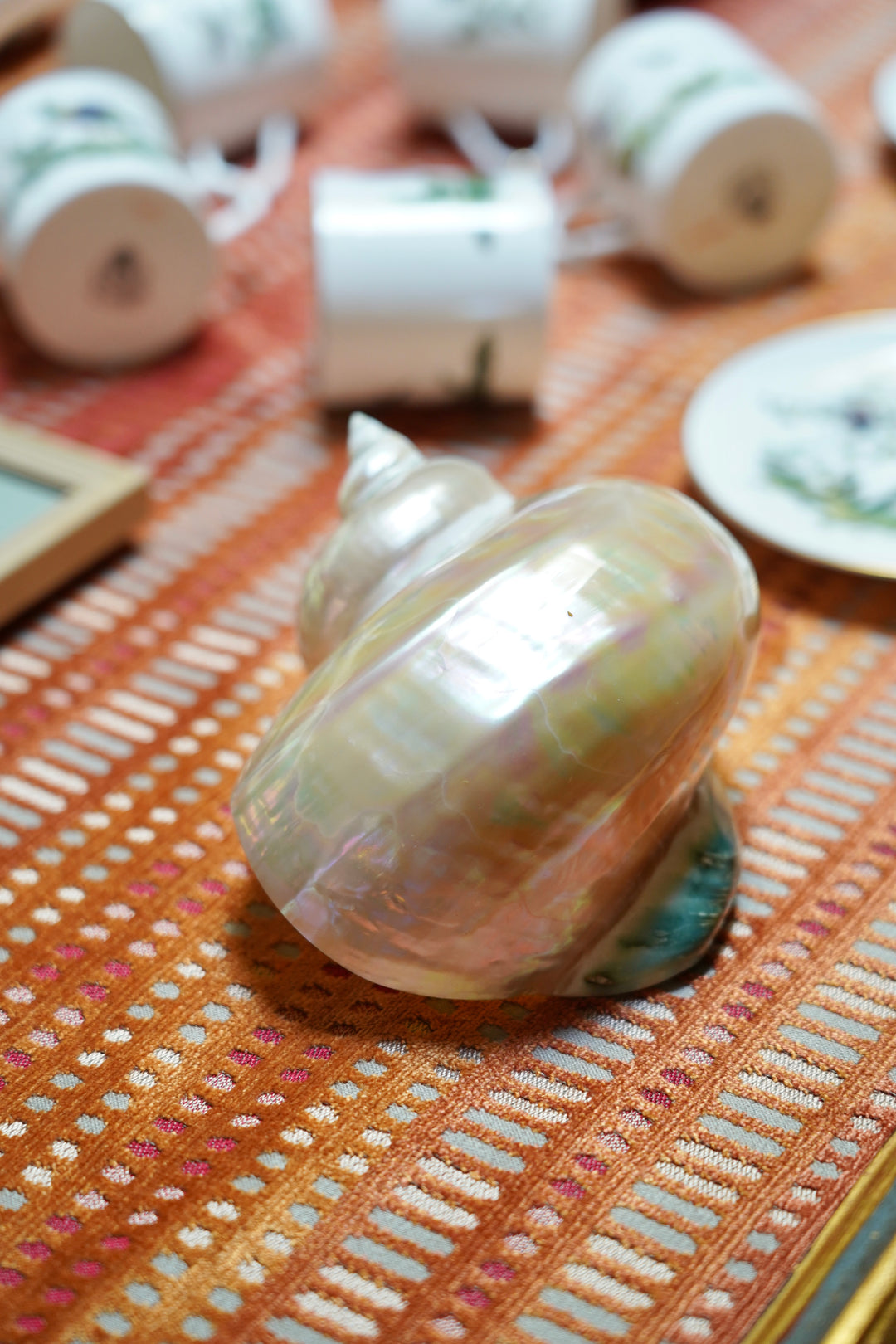 PEARLESCENT SHELL