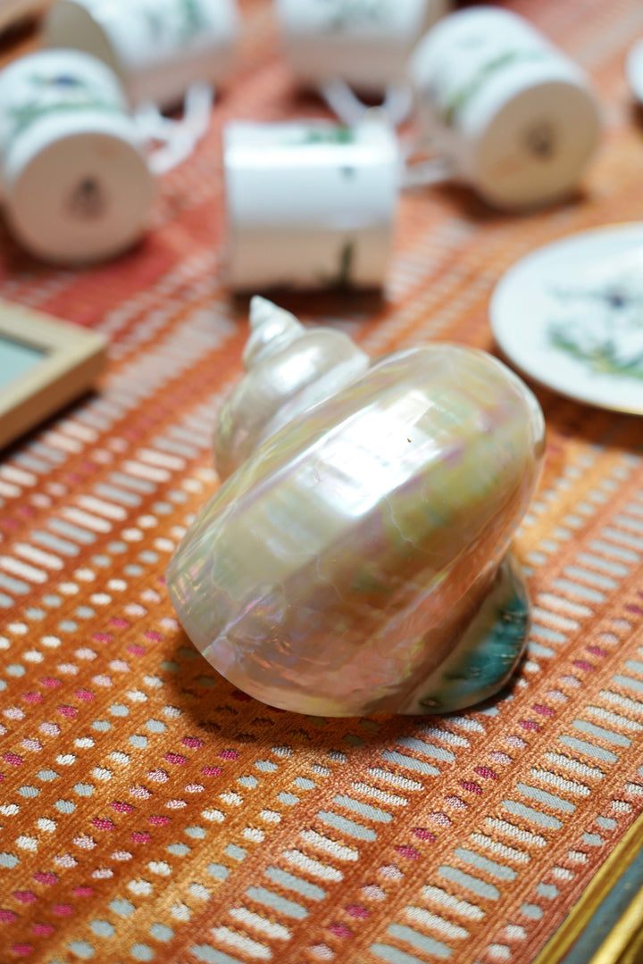 PEARLESCENT SHELL