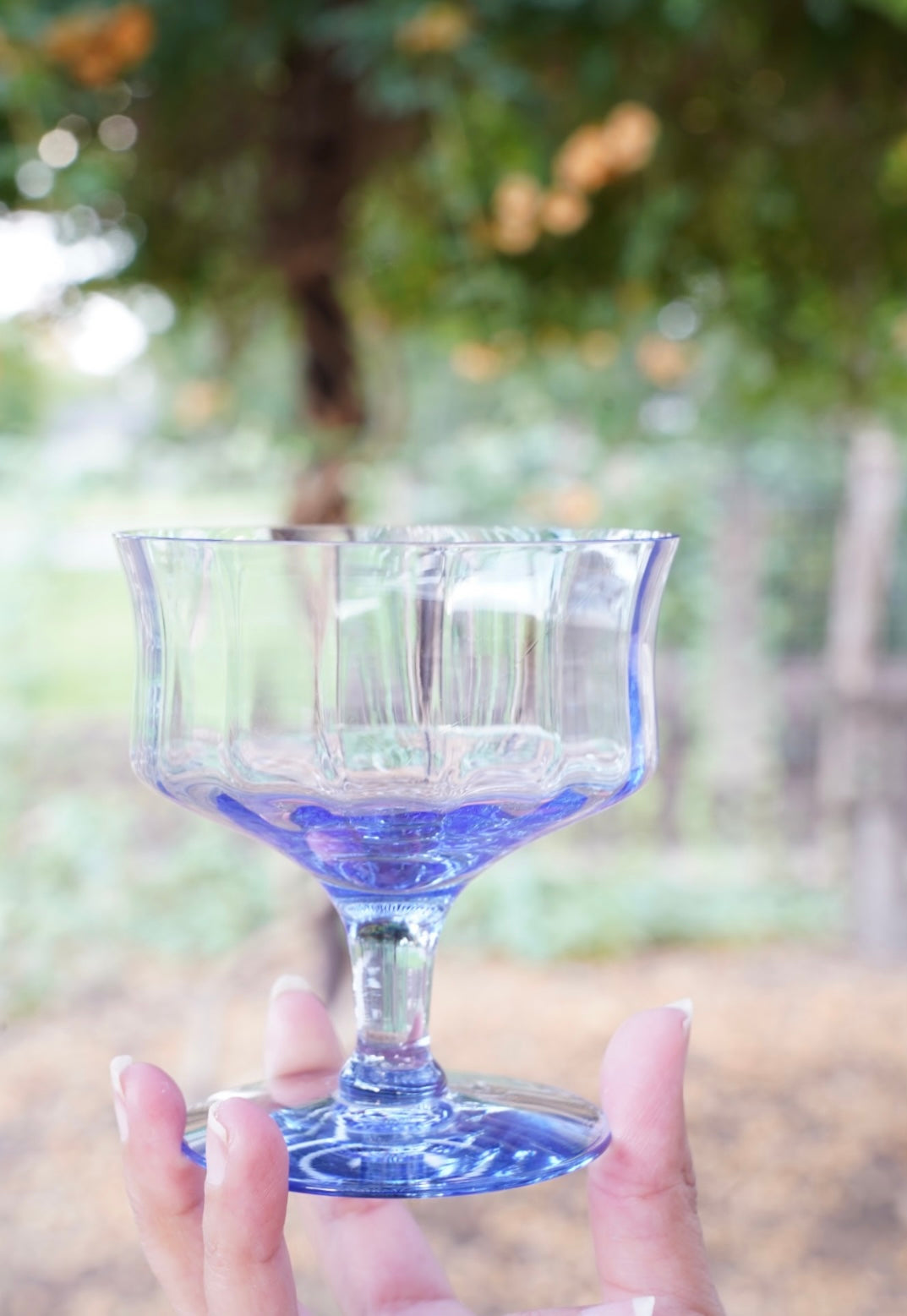 VINTAGE HAND-BLOWN BLUE COUPE GLASSES